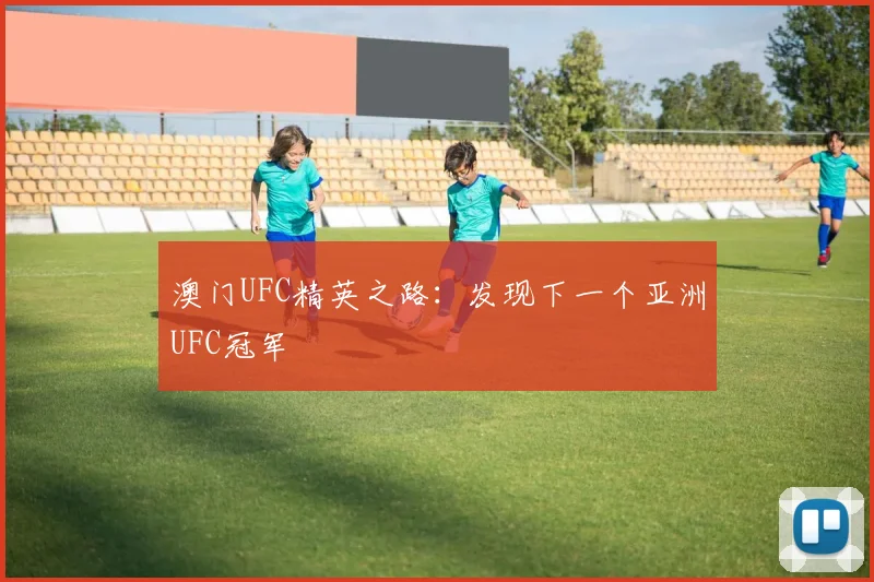 澳门UFC精英之路:发现下一个亚洲UFC冠军