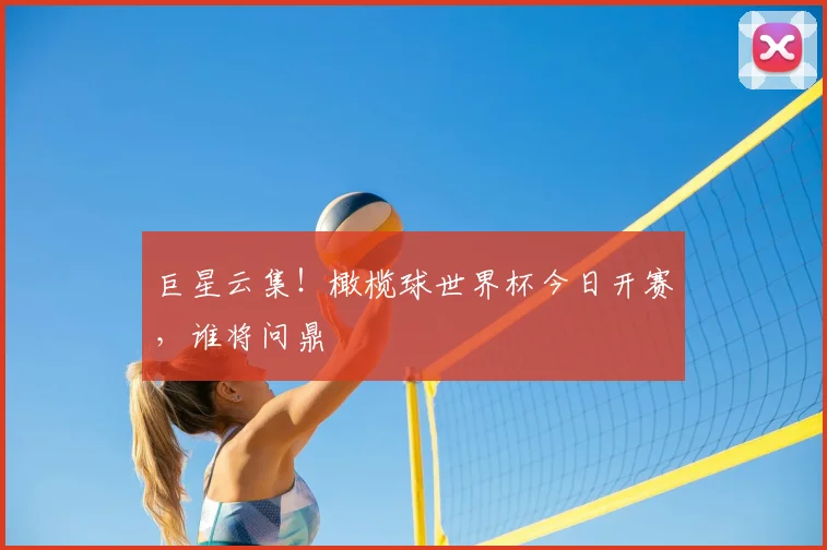 巨星云集！橄榄球世界杯今日开赛，谁将问鼎