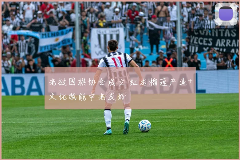 老挝围棋协会成立 红龙榴莲产业+文化赋能中老友好