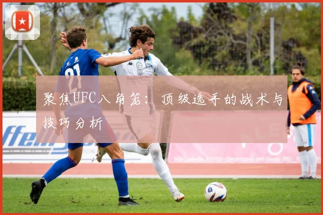 聚焦UFC八角笼：顶级选手的战术与技巧分析