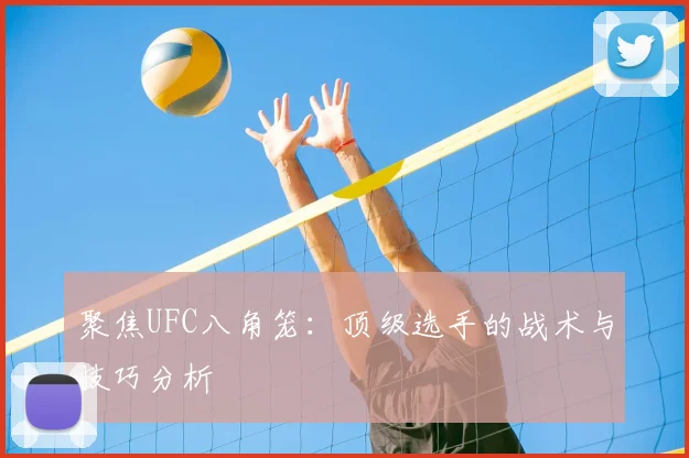 聚焦UFC八角笼：顶级选手的战术与技巧分析